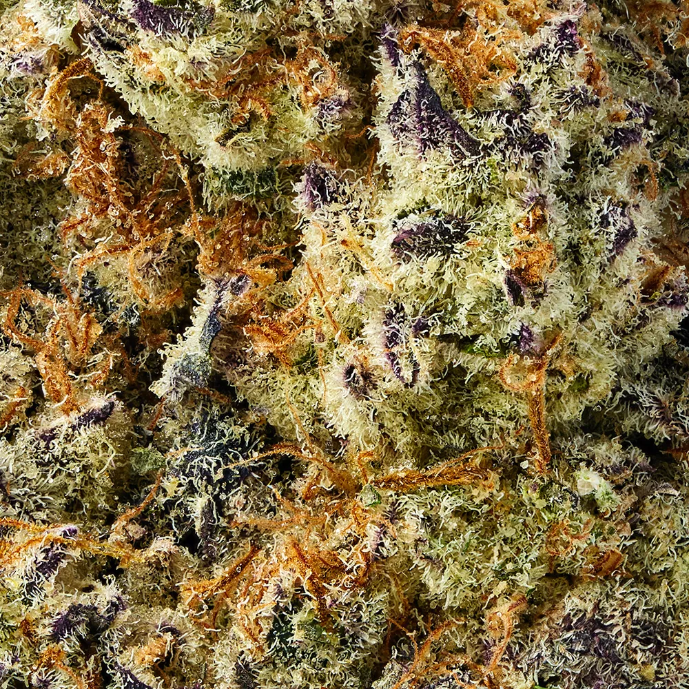 Hybrid • White Widow (Exotic) - Image 2